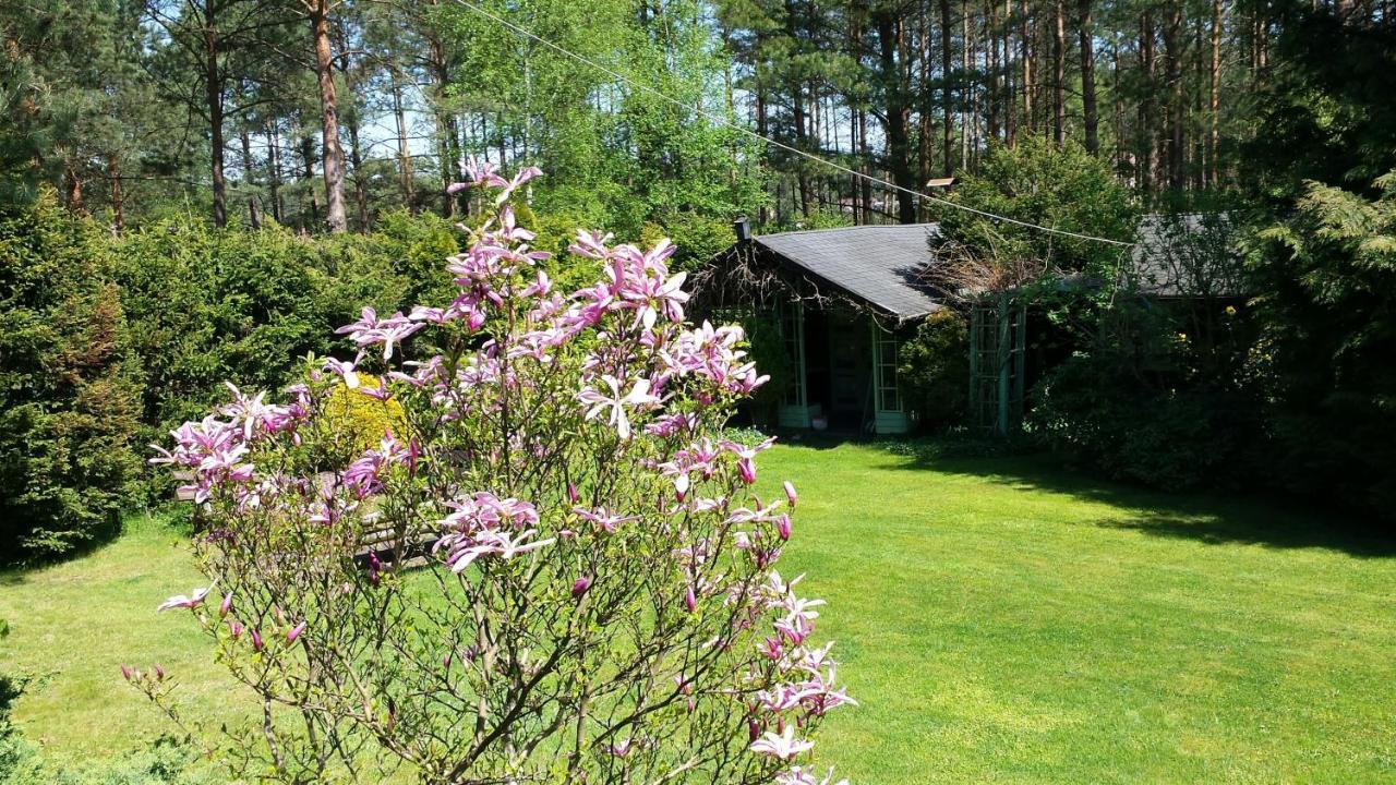 Domek Letniskowy Na Kaszubach Lub Apartament Z Kominkiem Puck Exterior foto